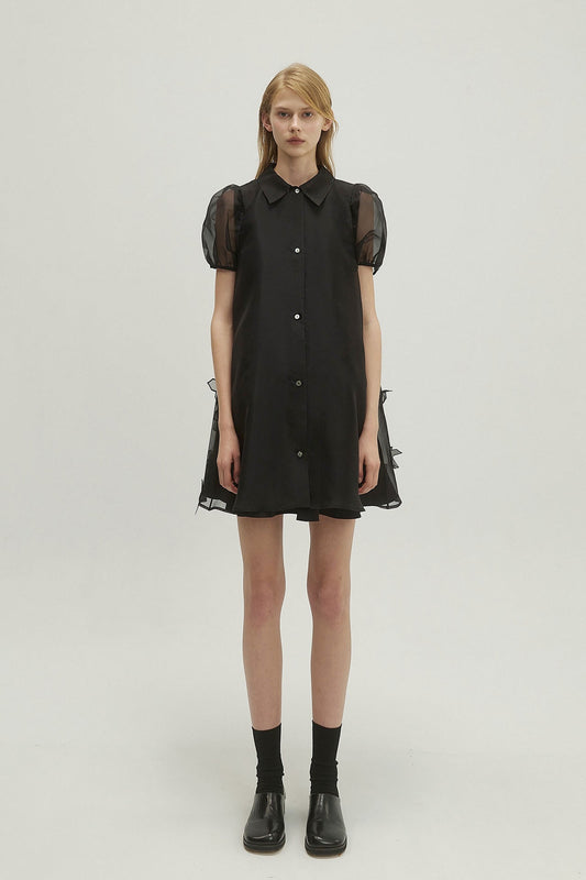 SILK EMBELLISHED DRESS